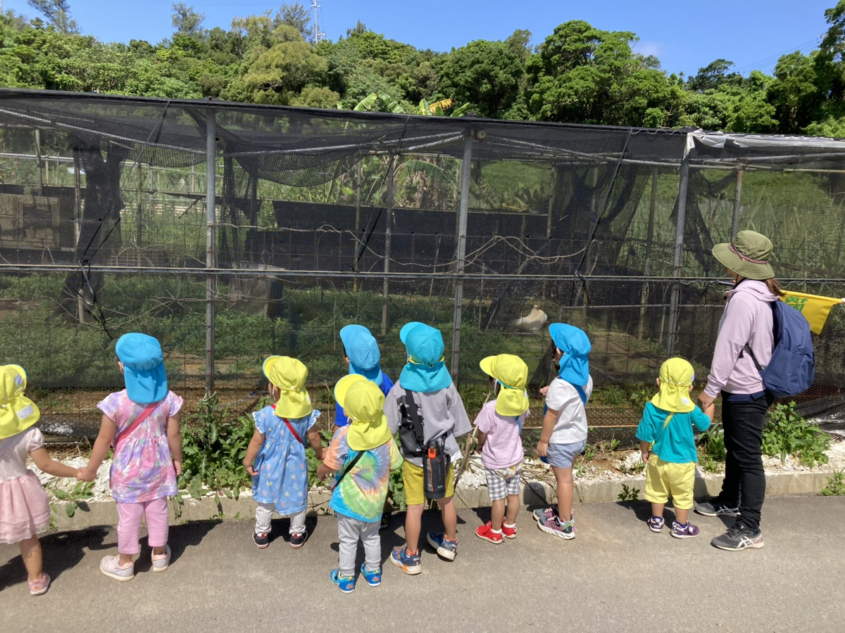 恩納保育所ダウンロード (4)